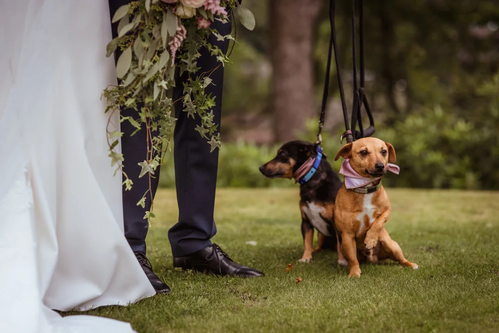 Fonab Castle | Wedding Film | Michelle + Paul