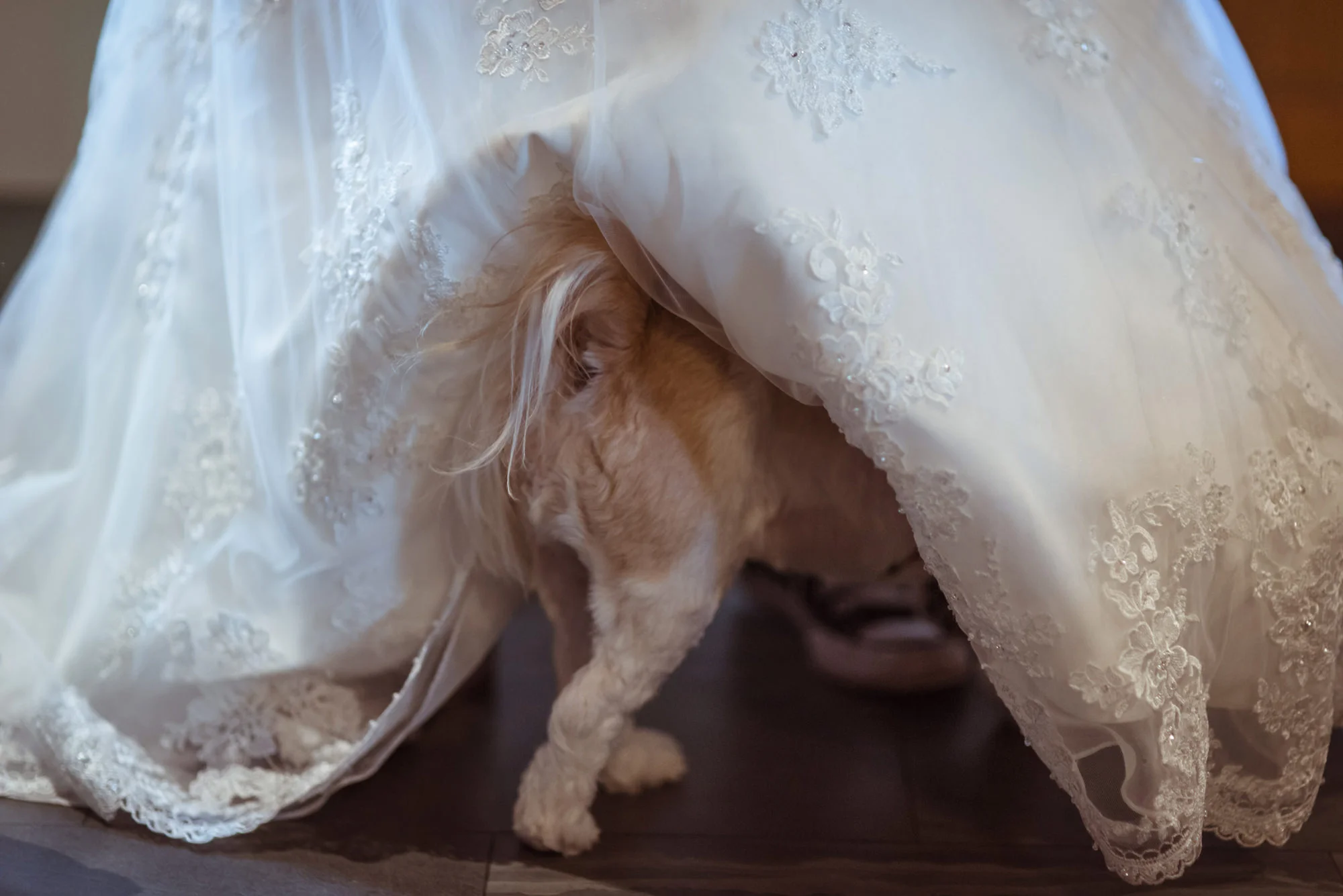 funny-wedding-photographs-glasgow.jpg