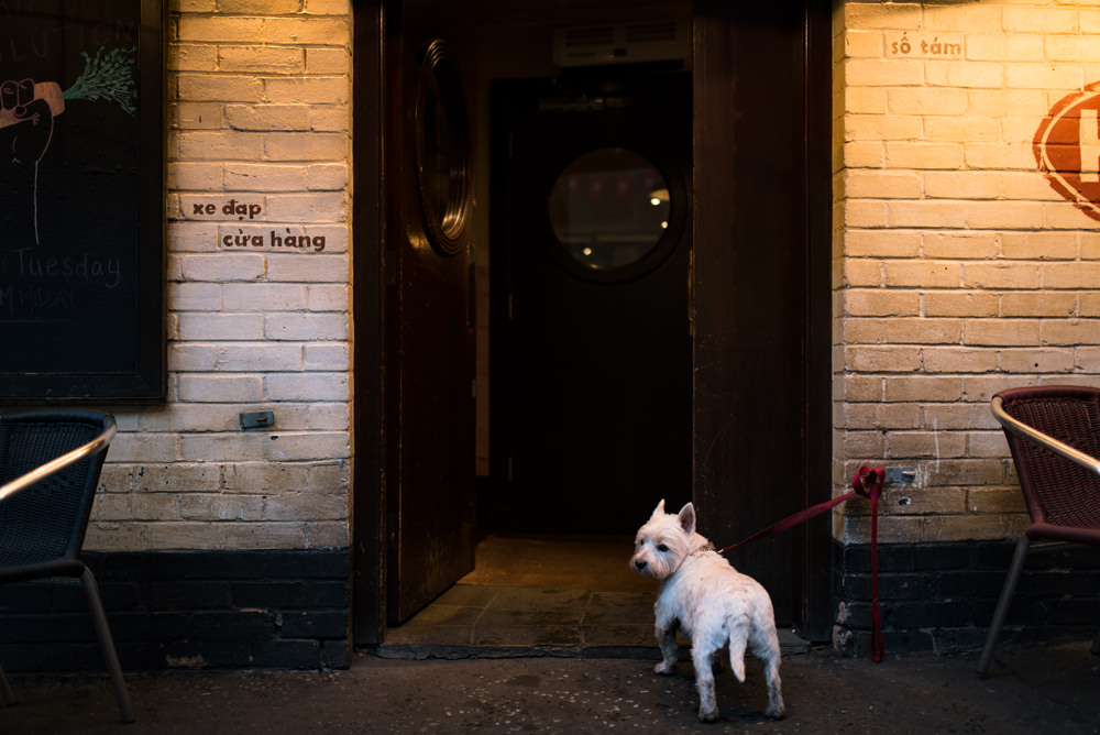 alternative-wedding-photography-glasgow-west-end.jpg