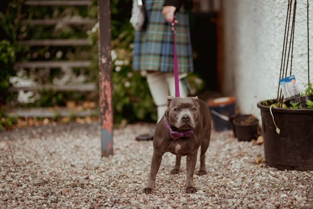 alternative-wedding-photography-scotland.jpg
