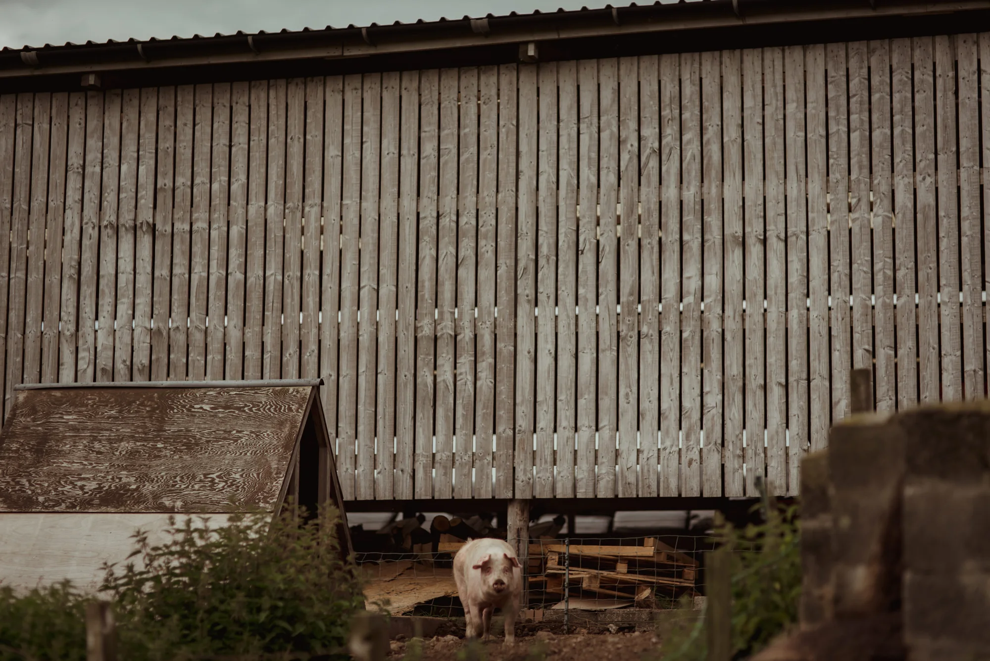 knockraich-farm.jpg