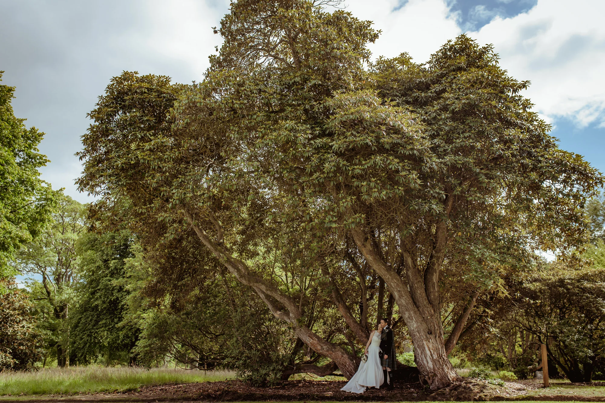 mount-stuart-wedding-photographe.jpg