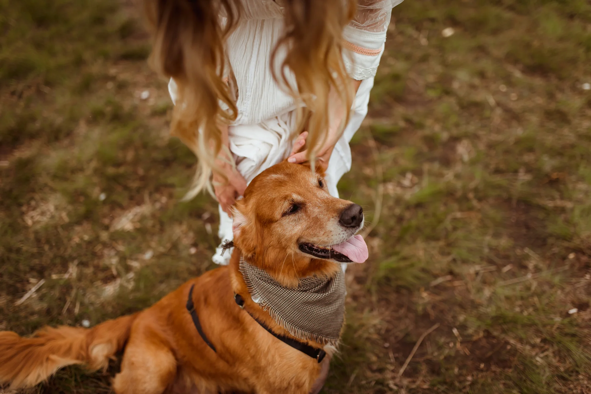 dog-friendly-wedding-destination-scotland (1).jpg