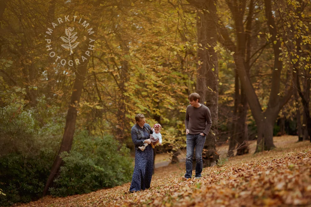 Top 15 Family Picture Photographers and Their Works