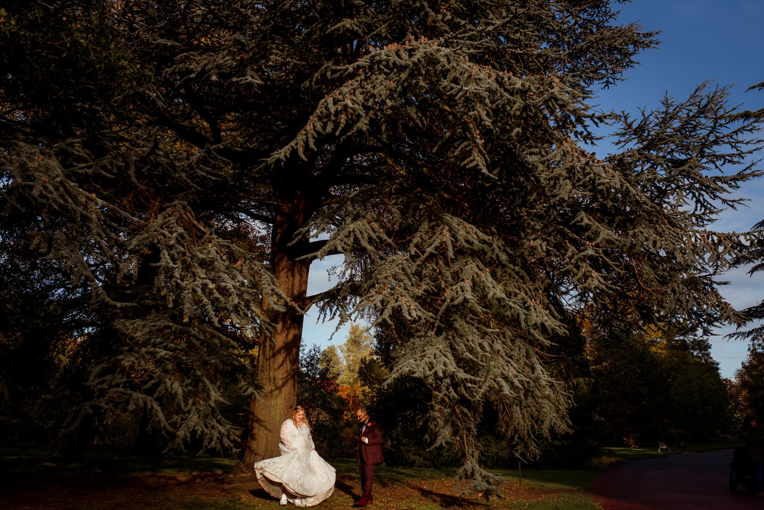 royal botanic gardens wedding photographer (6).jpg