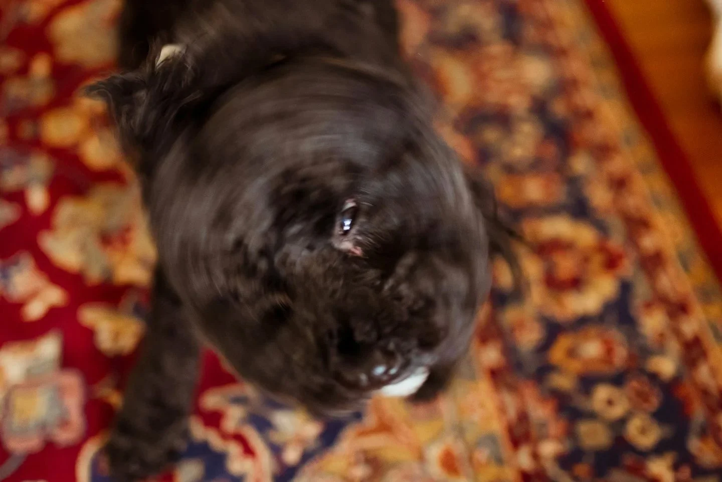 creative wedding photographer scotland (74).jpg