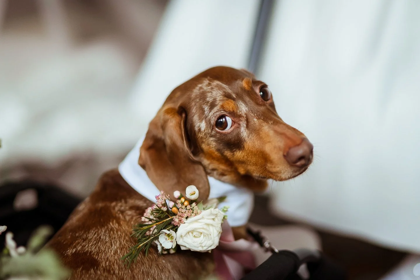 One Devonshire Gardens Wedding Photographer  (73).jpg