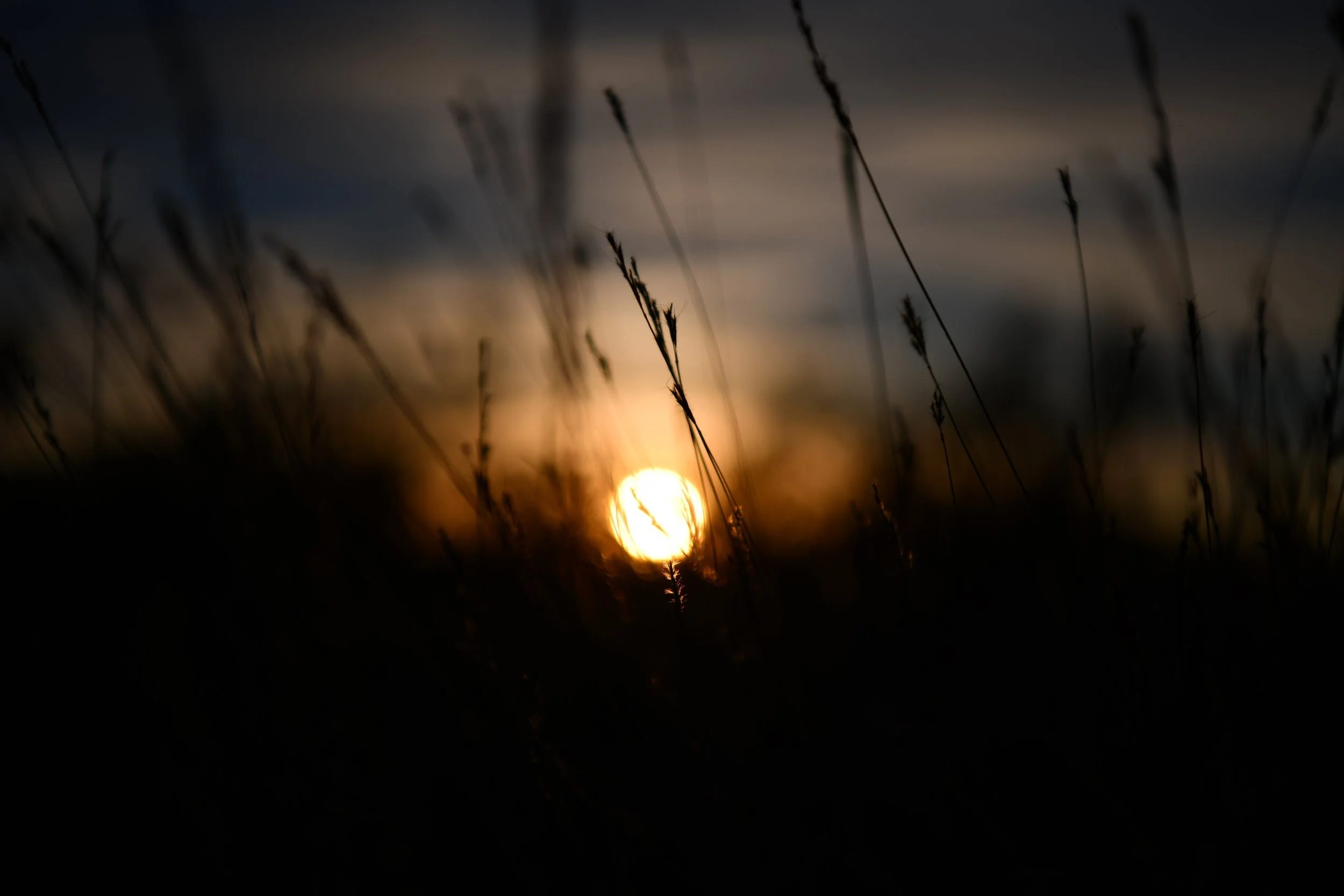 Photo by Duncan Sanchez on Unsplash