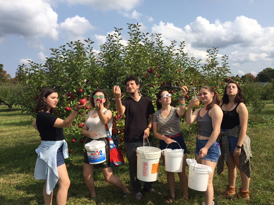 apple picking.jpg