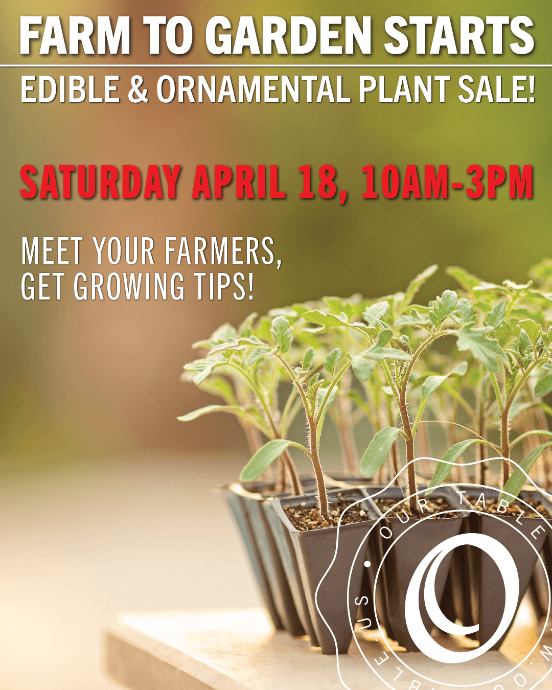 Our Table Pop Up Plant Sale