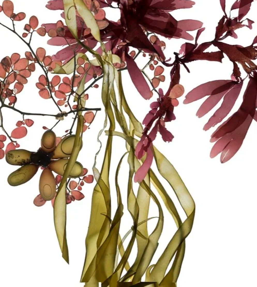 Screen Shot 2026-03-25 at 7.15.39 PM.png