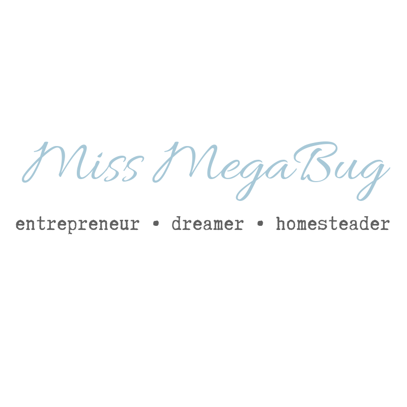 Miss MegaBug_Old Logo.png
