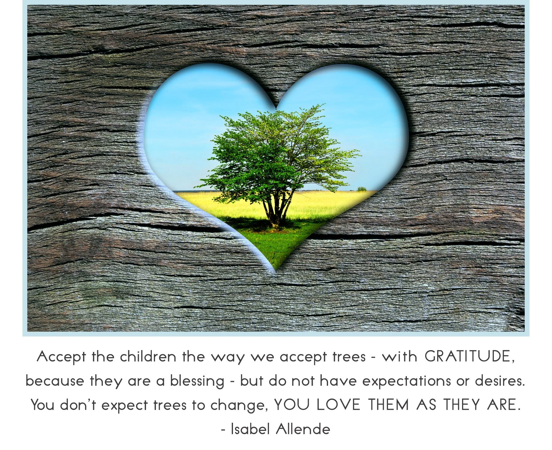 treehrtCCquoteN.jpg