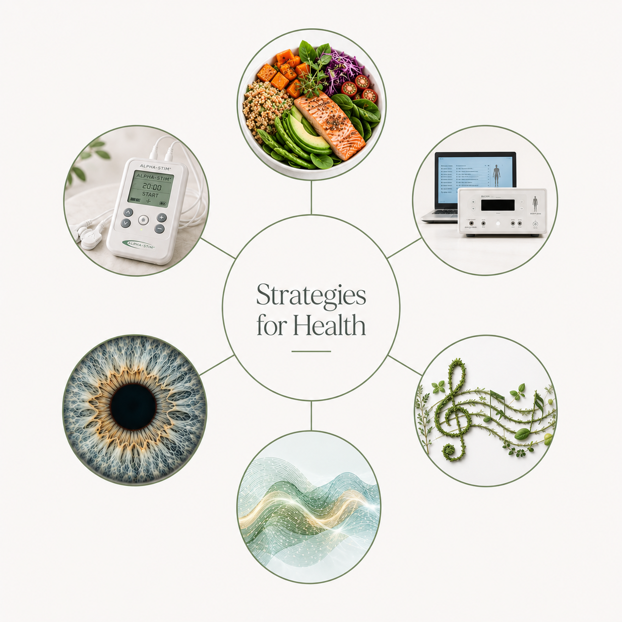 Naturopathy, herbal medicine, iridology, bioresonance, energy healing