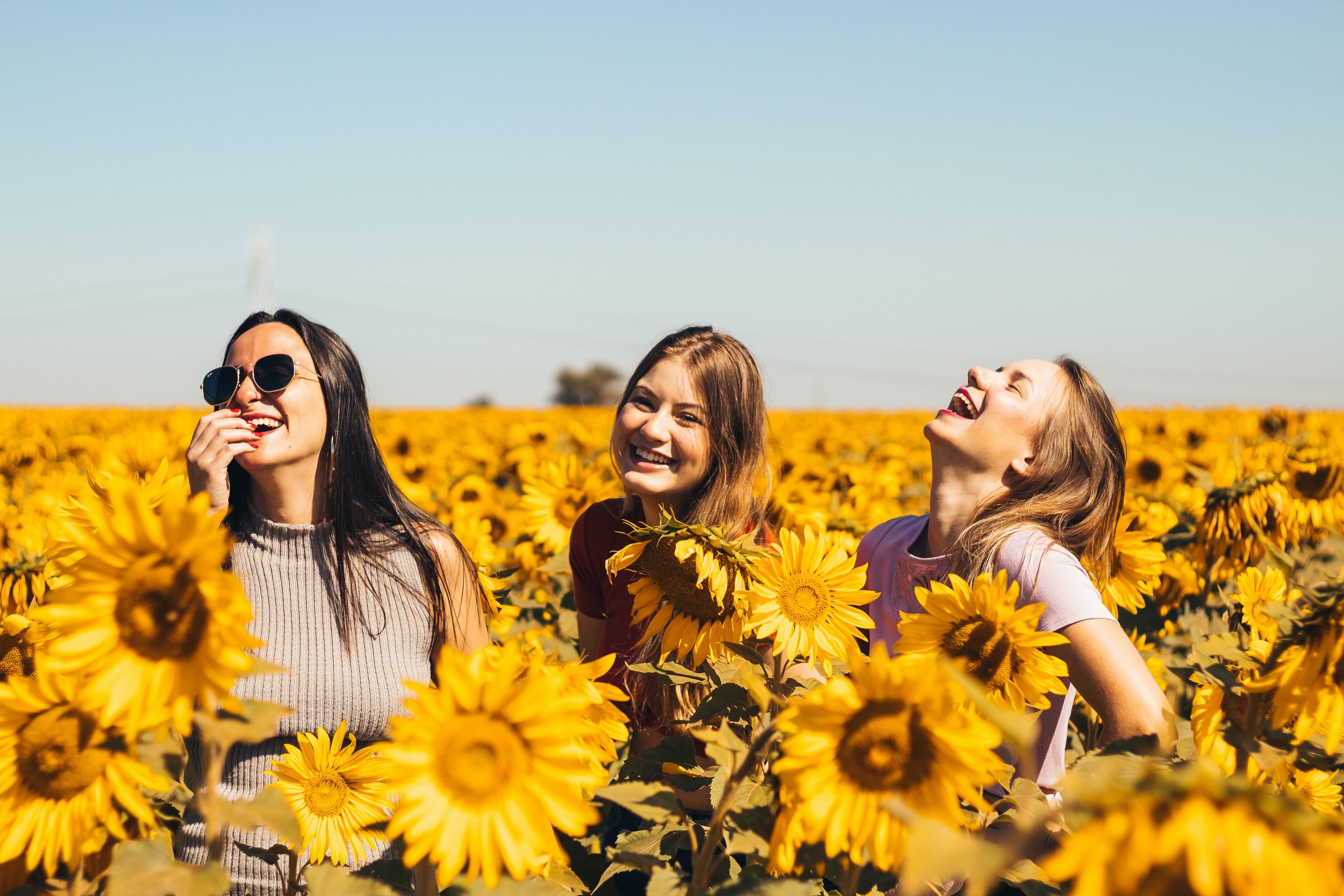Allergy desensitisation, hay fever, allergies
