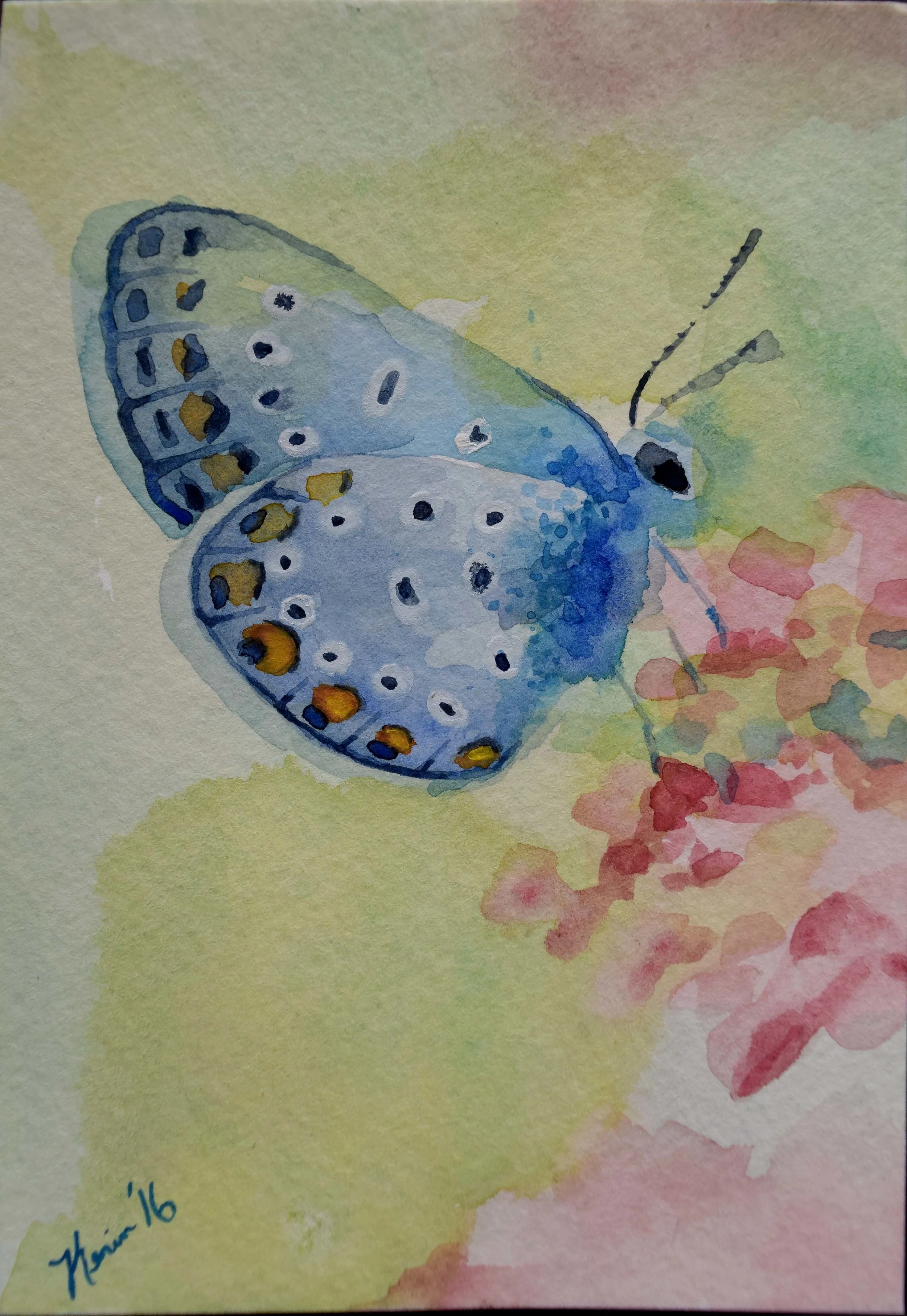 butterfly.17.jpg