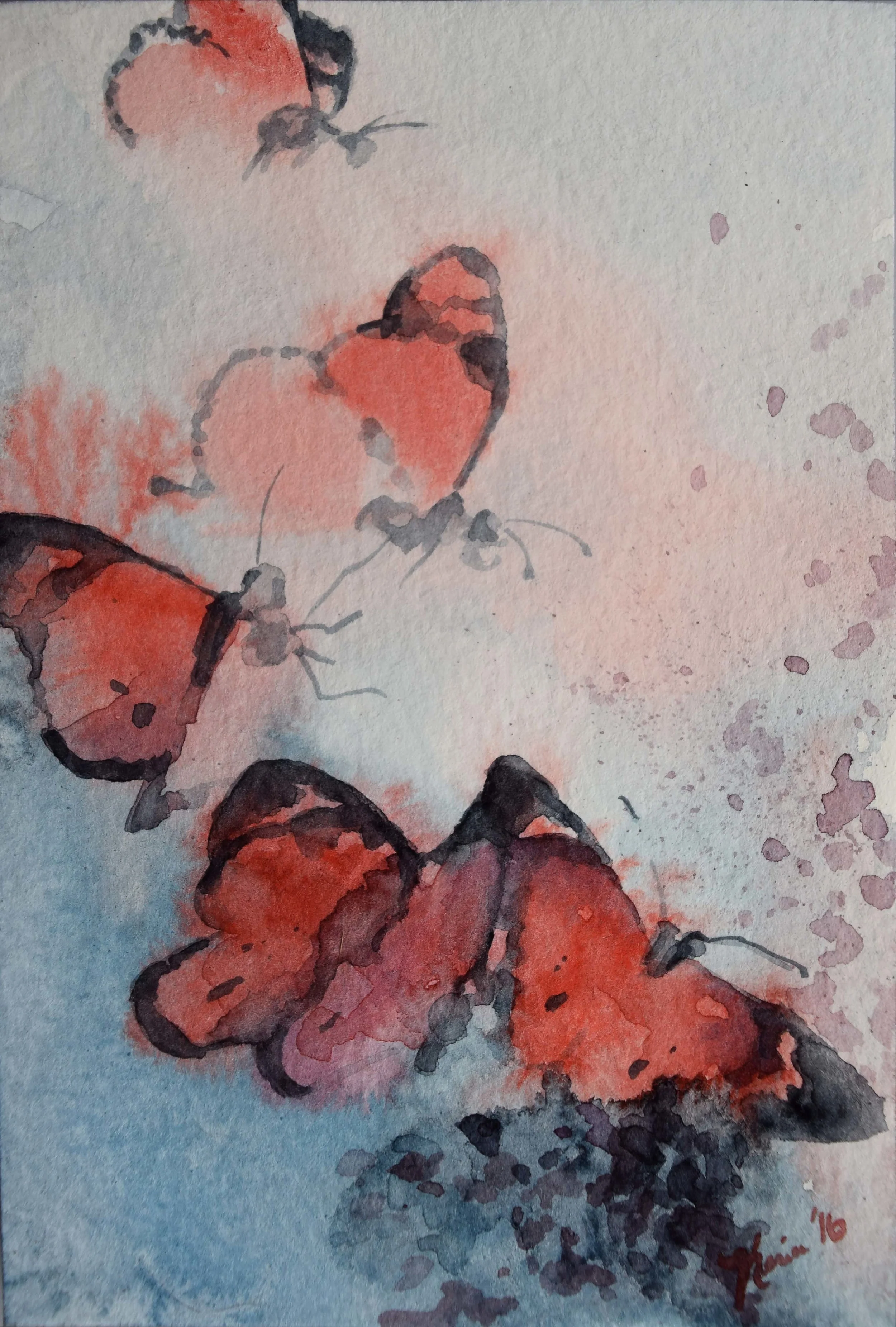 butterfly.18.jpg