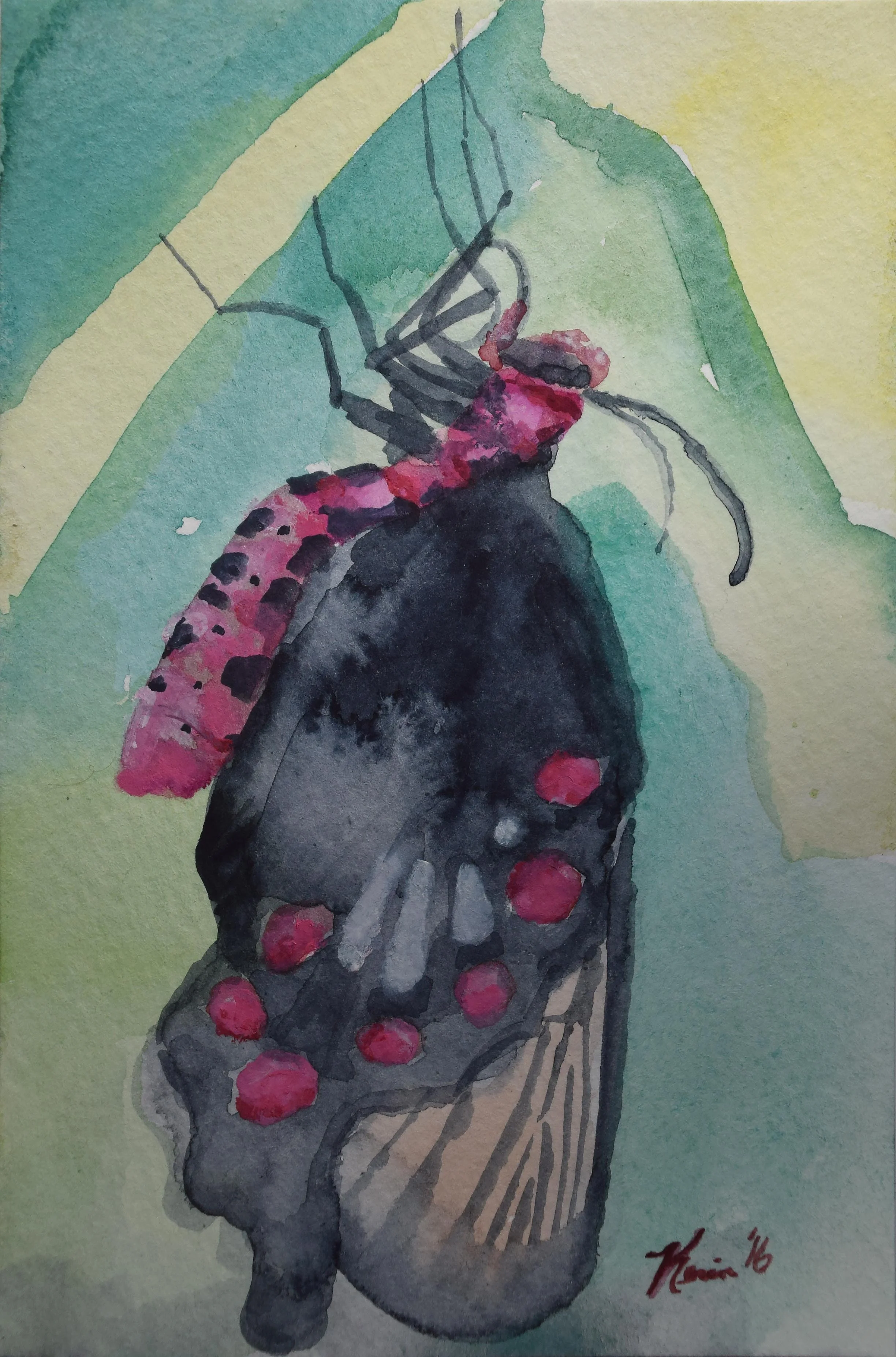 butterfly.22.jpg