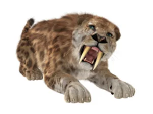 tigerthumb.jpg