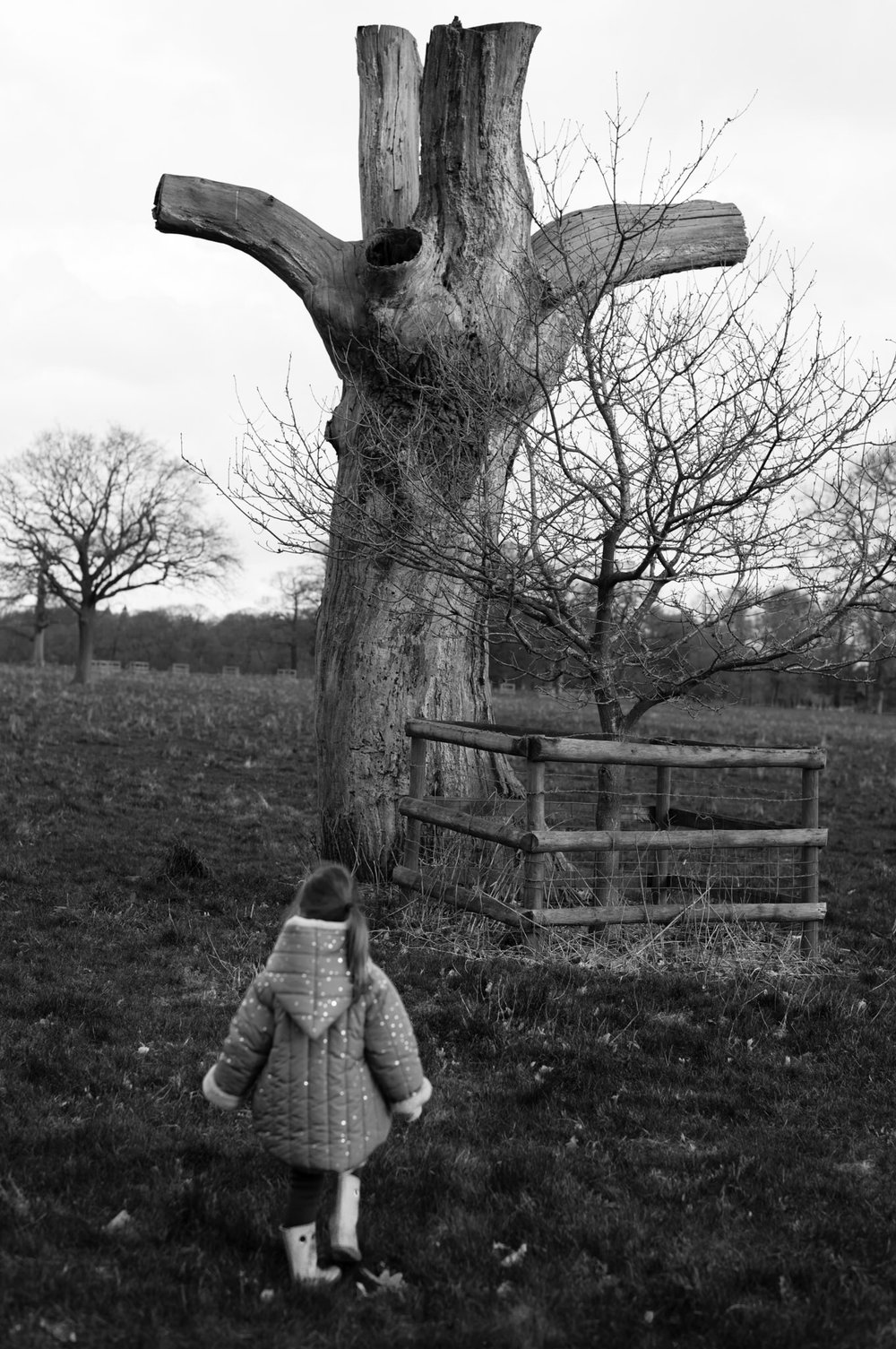 On-the-Blickling-Estate-in-Norfolk.jpg