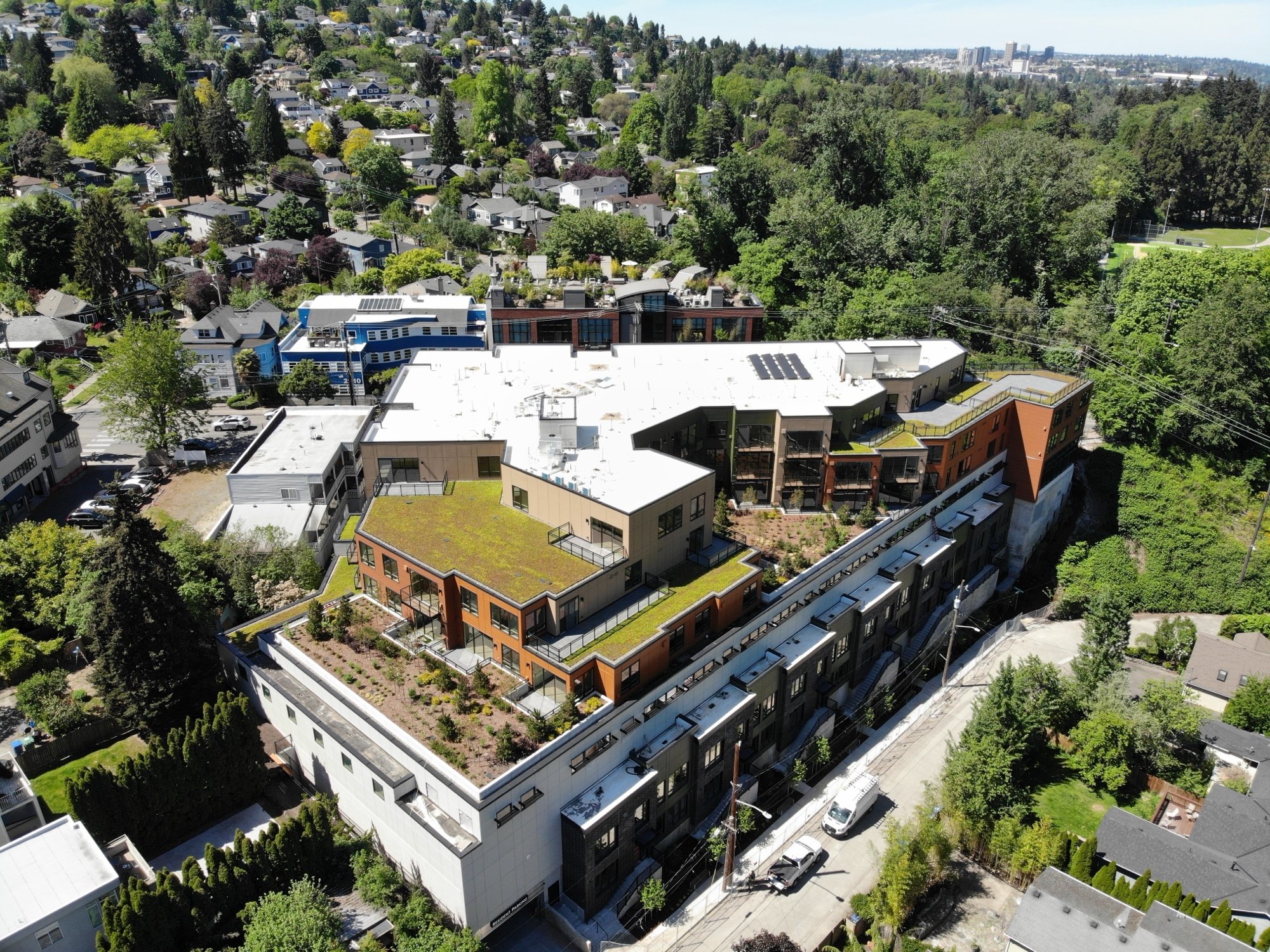 In Construction / The Arbory