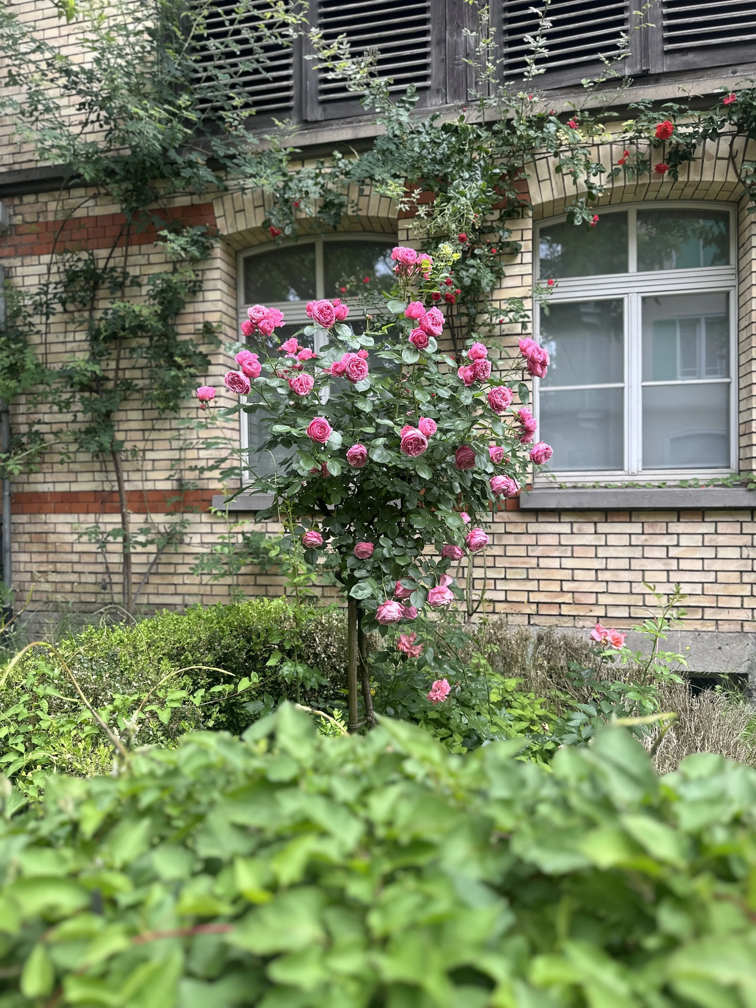 5_Hochformat_IMG_0889.jpeg