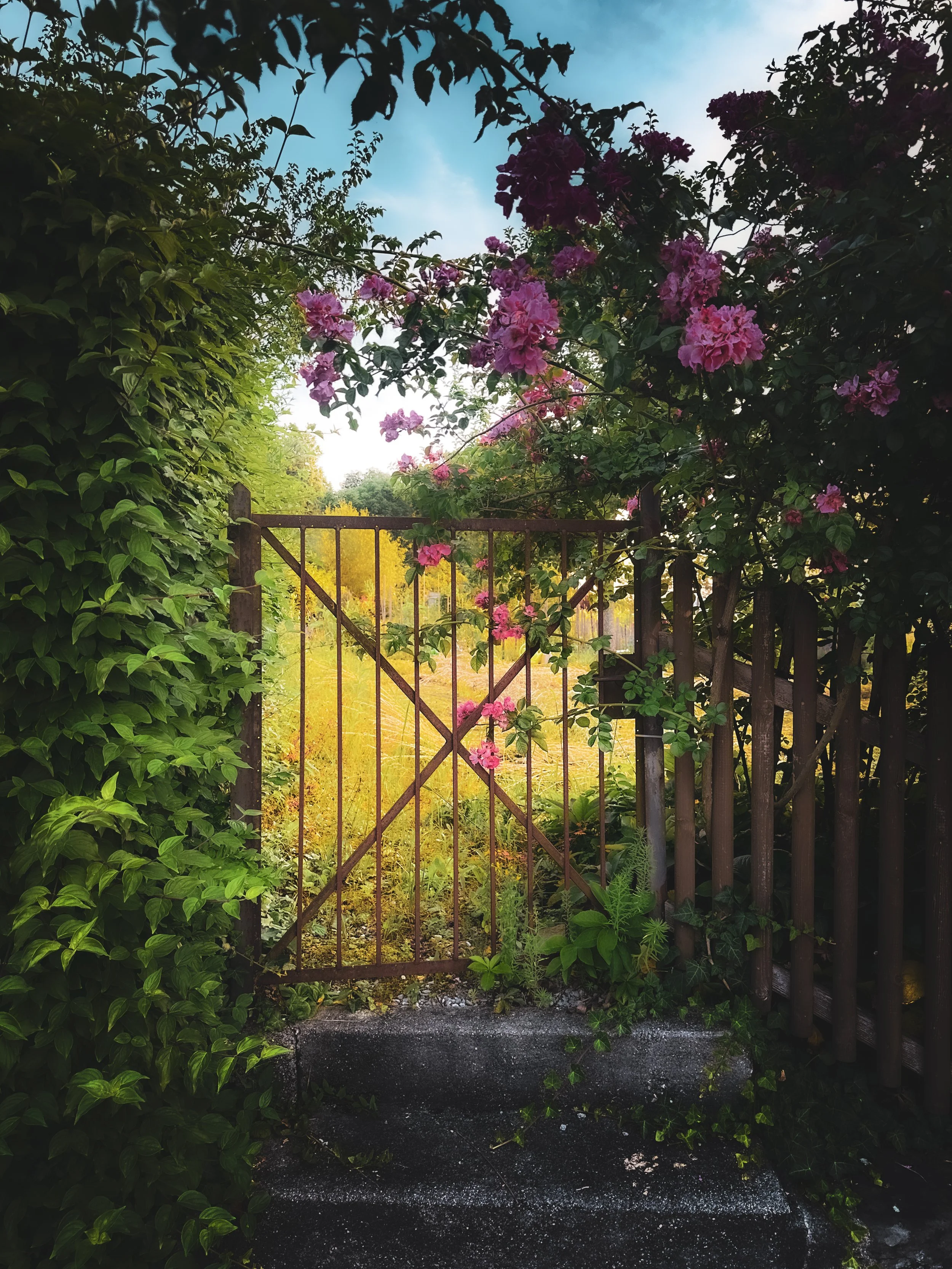 13_Hochformat_IMG_3080.jpeg