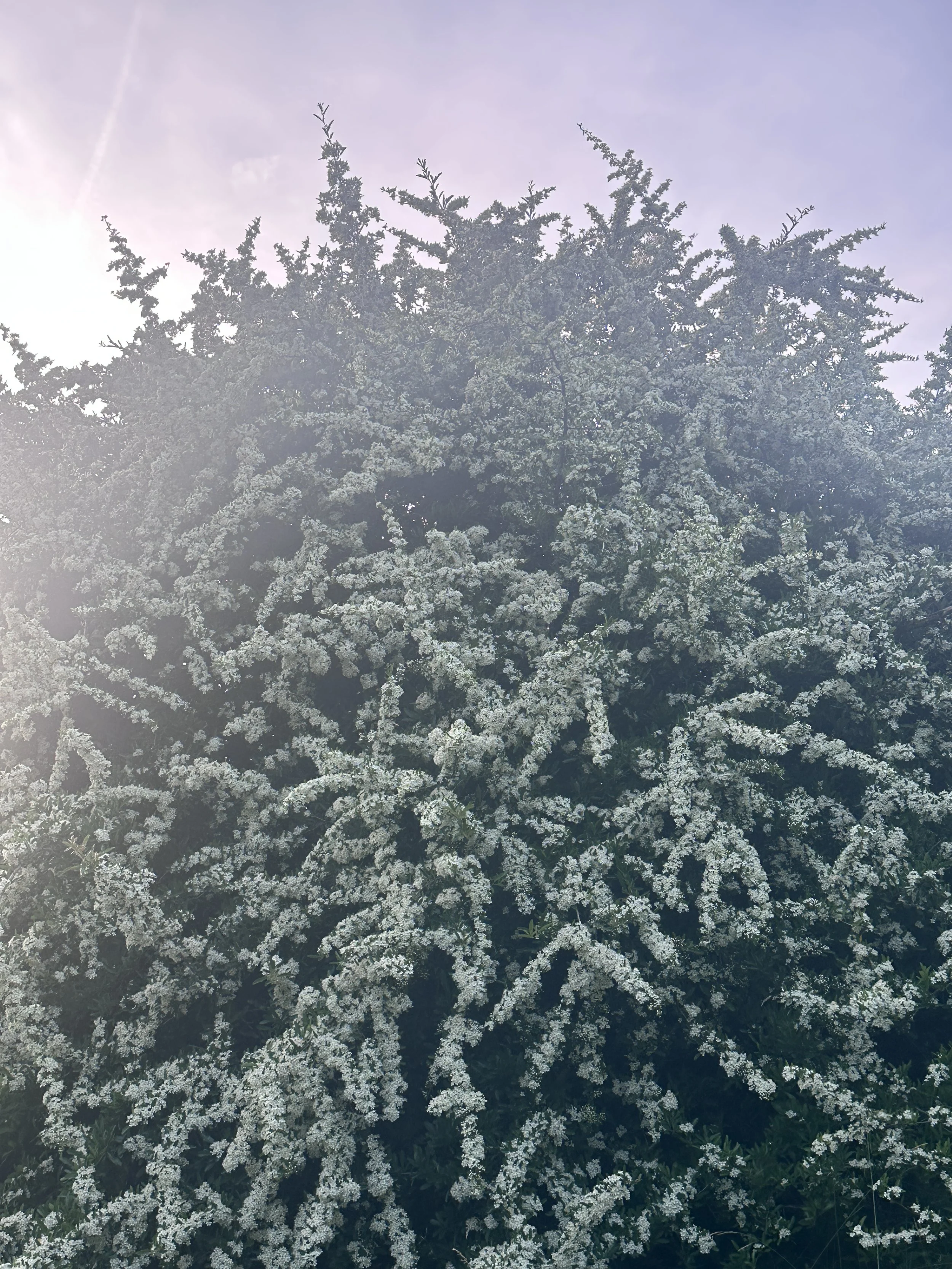 16_Hochformat_IMG_8439.jpeg