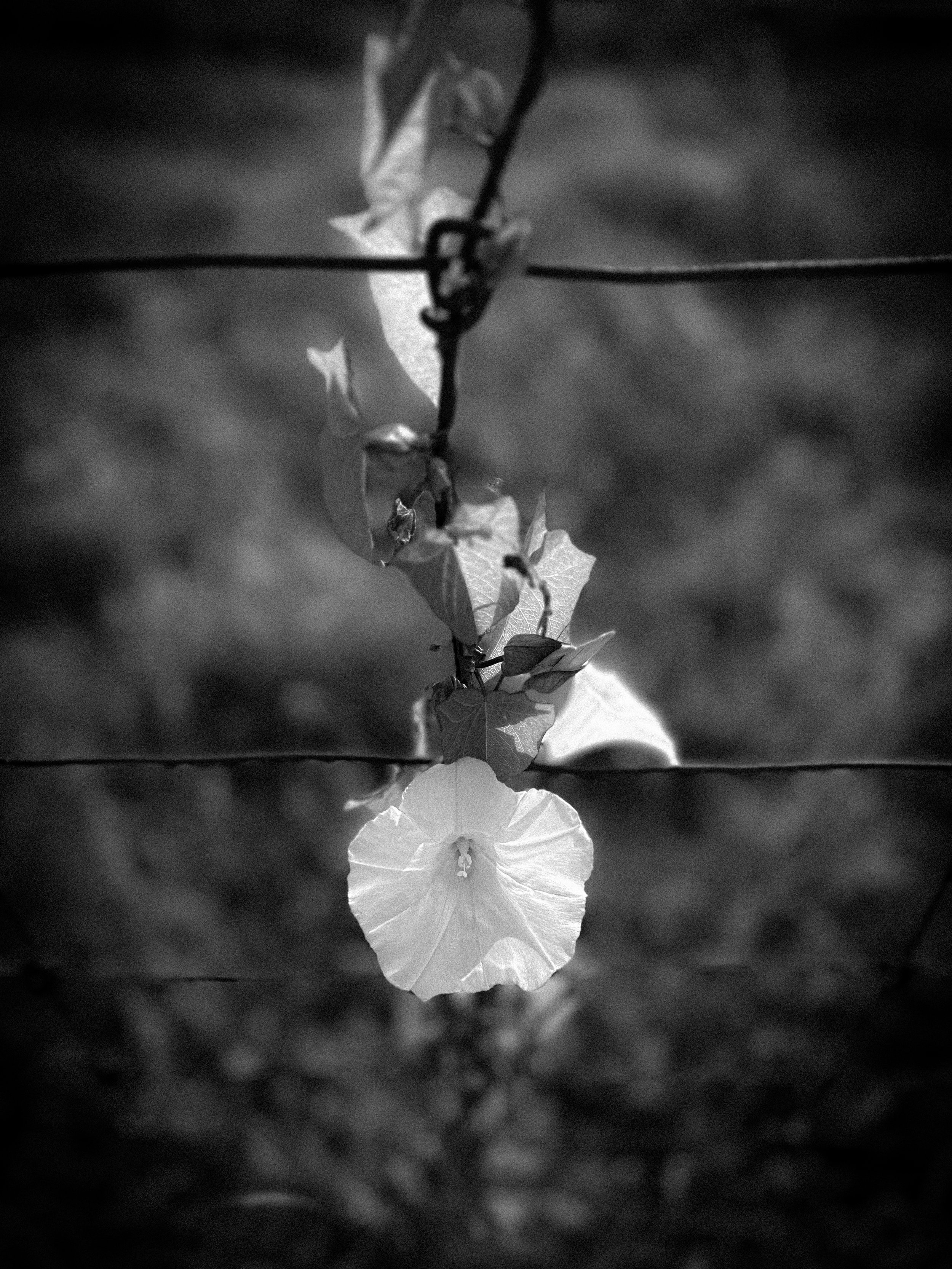 19_Hochformat_IMG_9727.jpeg