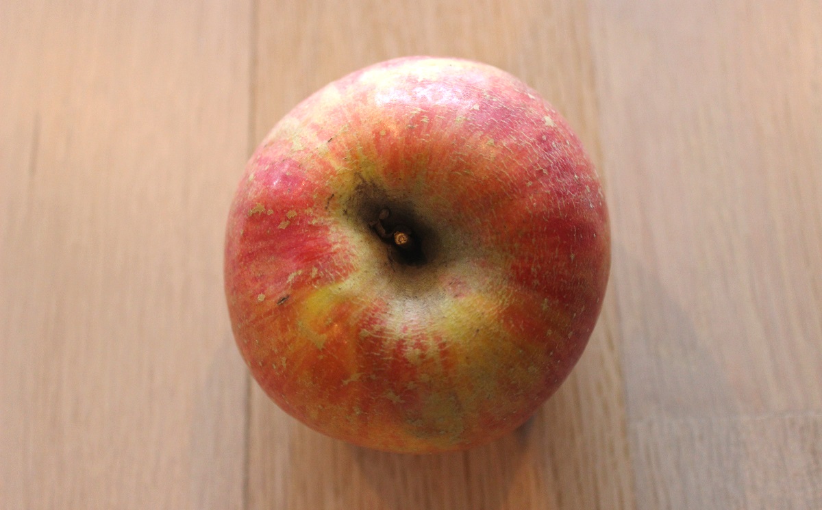 Apple Header.jpg