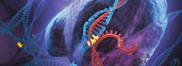 crispr-2-e1395758951213.jpg