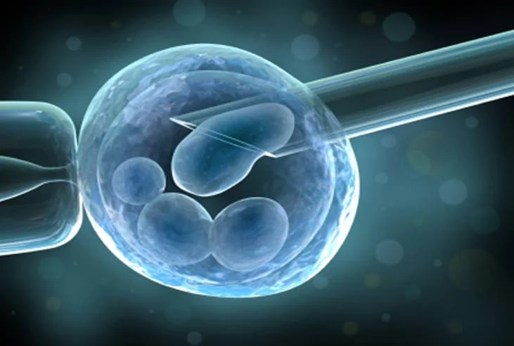 embryo-research-abortsa-com.jpg