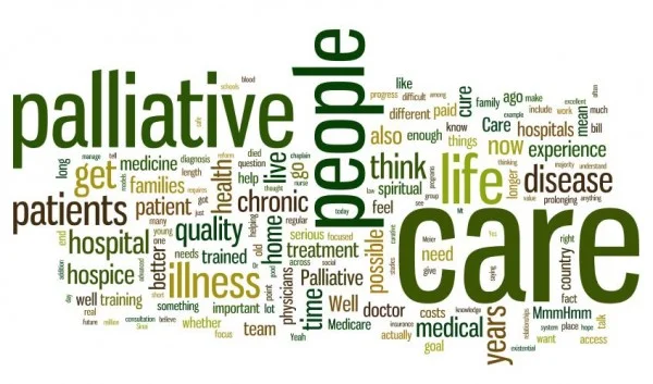 palliative-care-word-cloud-e1403707804156.jpg