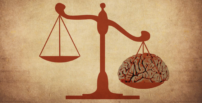 neurolaw_web.png