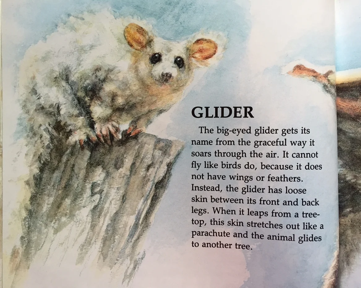 glider 1.JPG