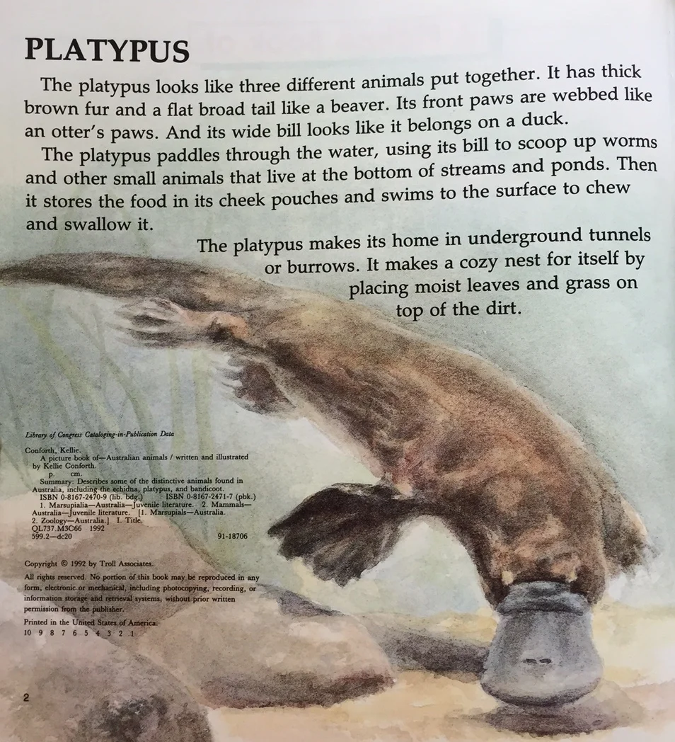 platypus.JPG