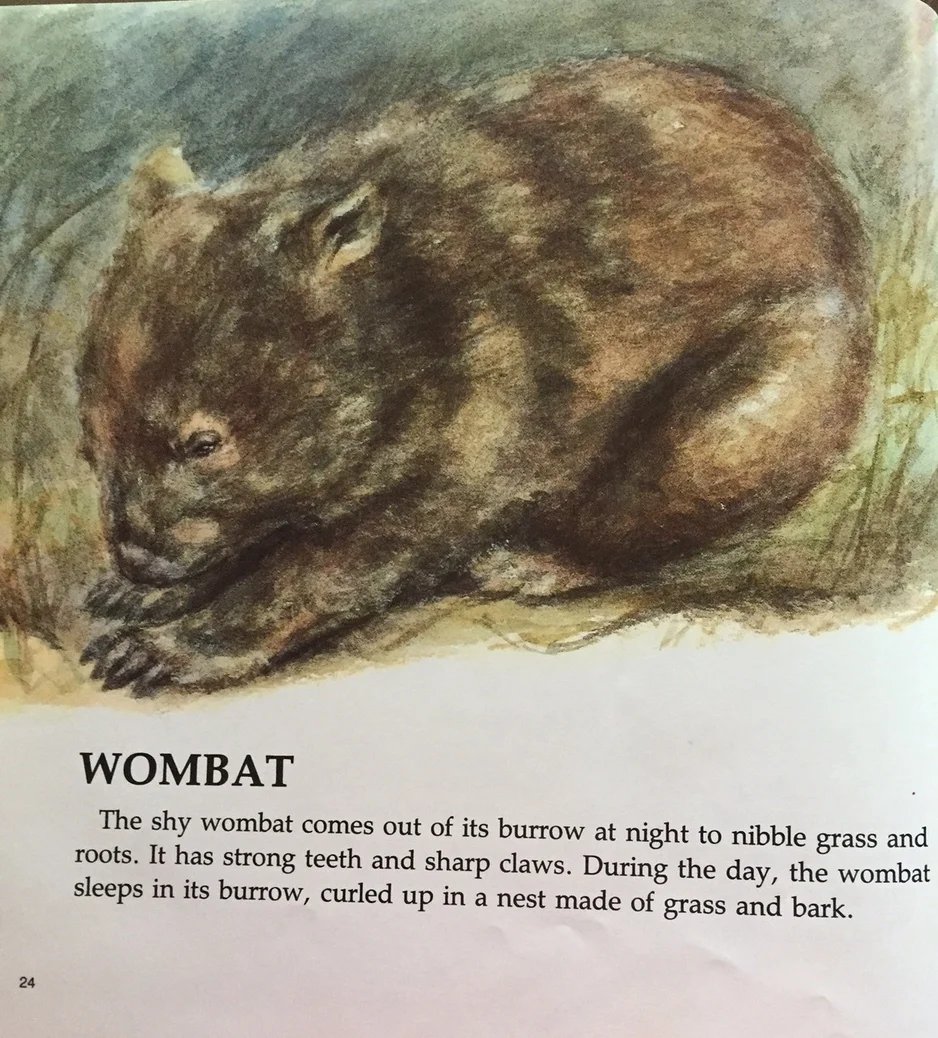 wombat.JPG
