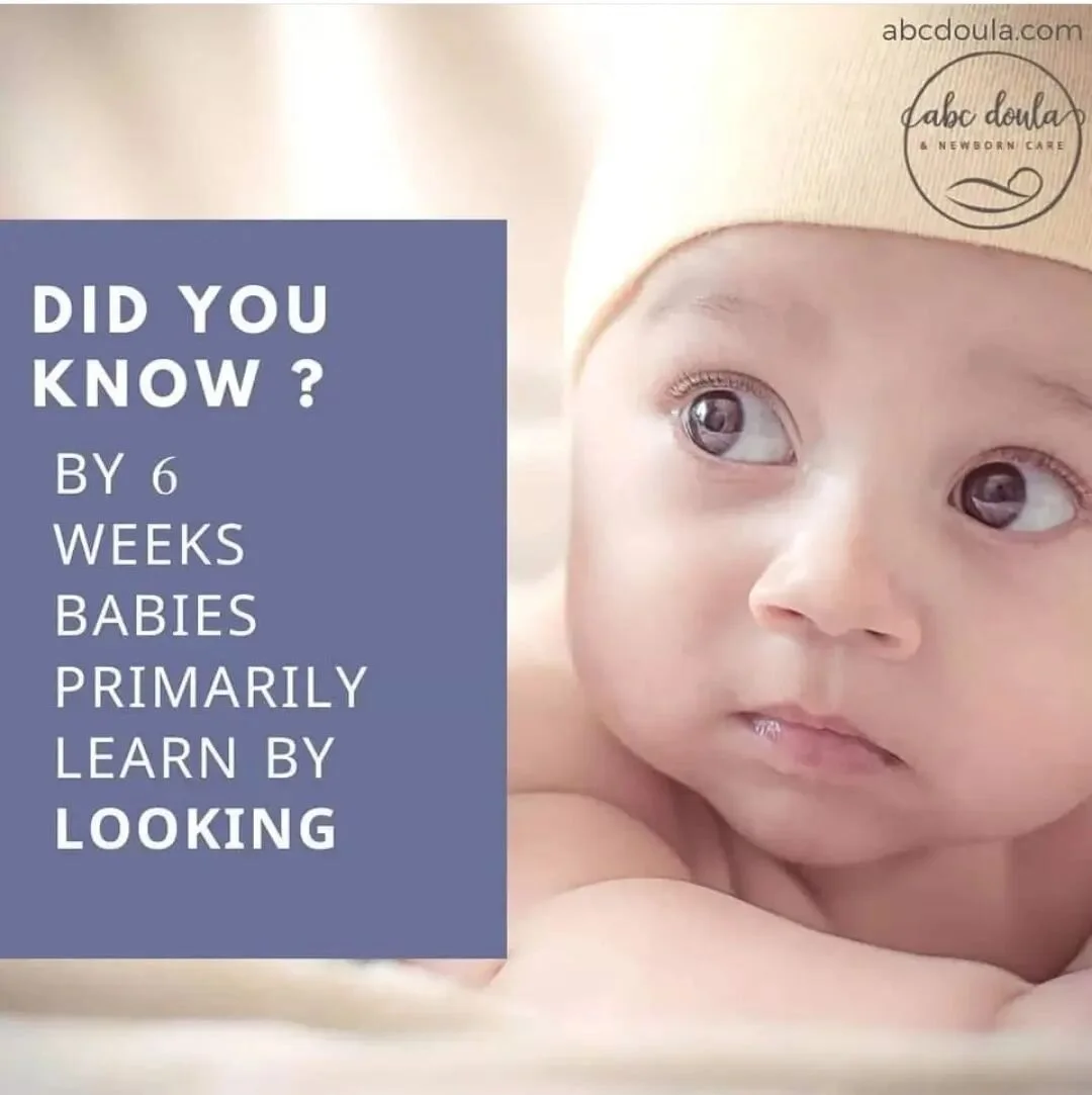 working-with-multiples-doula-trainings-abc-doula-newborn-care