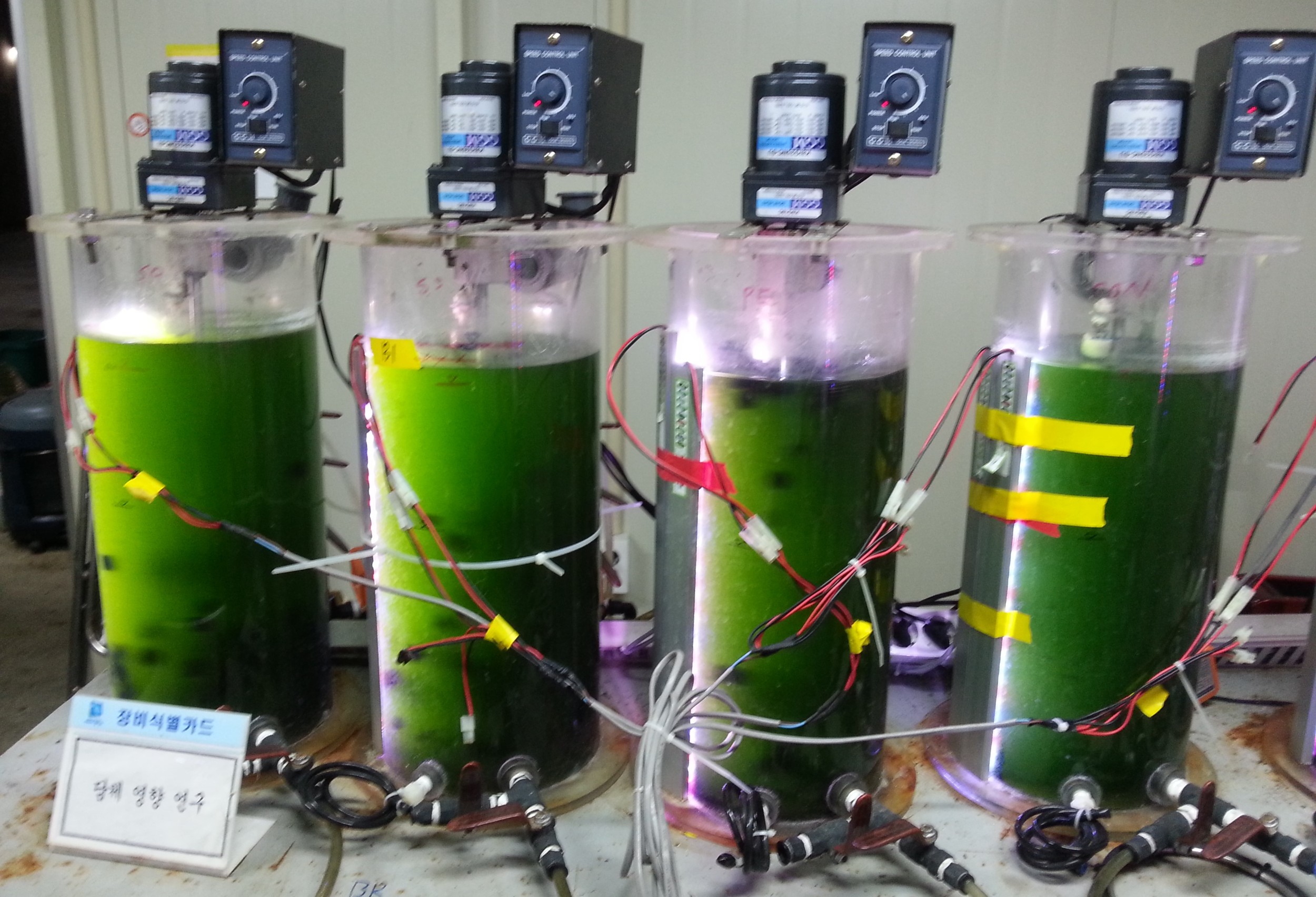 algae (1) injection.jpeg
