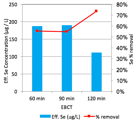 Selenium Removal