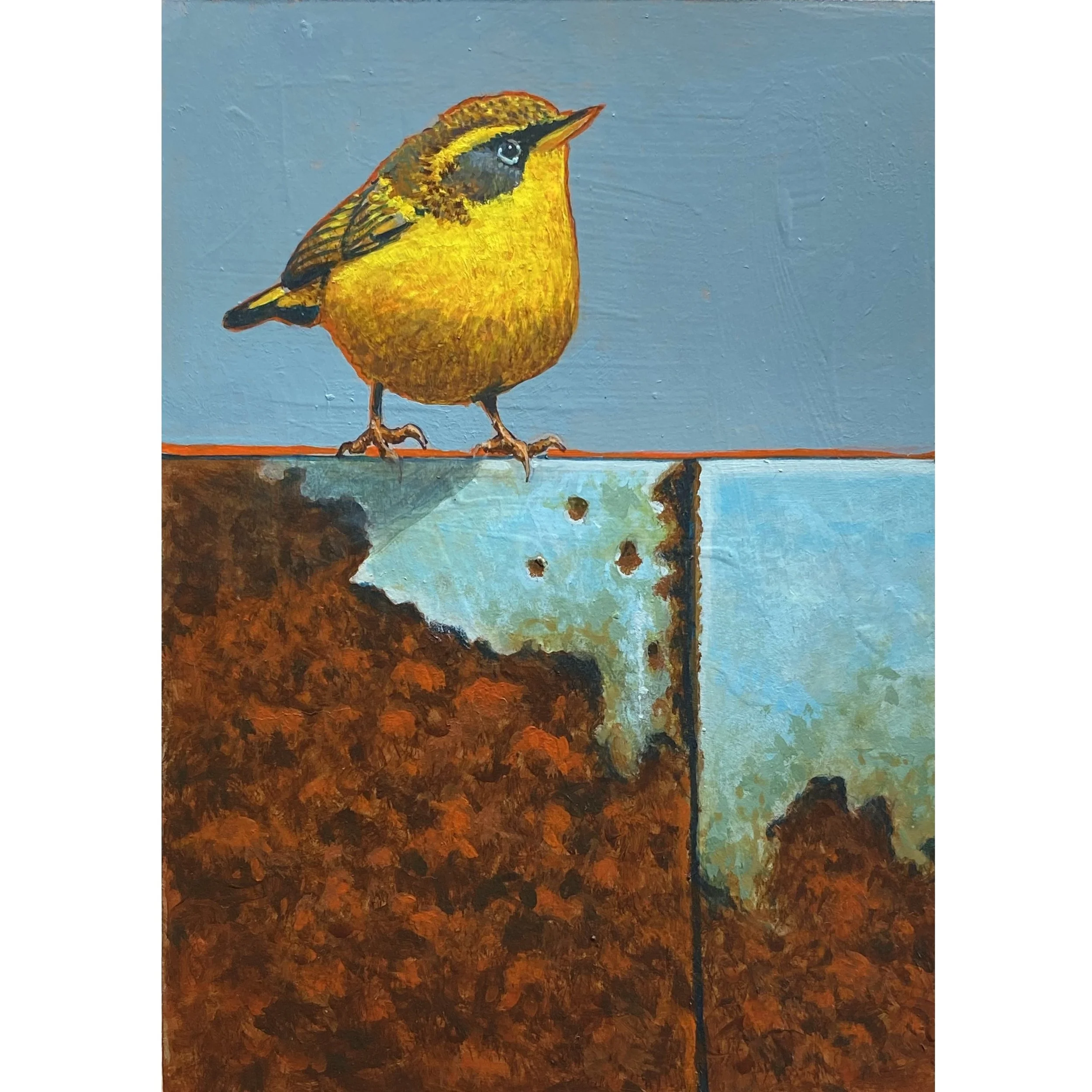 YELLOW BIRD_7X5+tHOMcORY.jpg