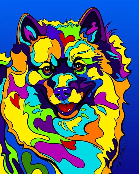 Keeshond.jpg