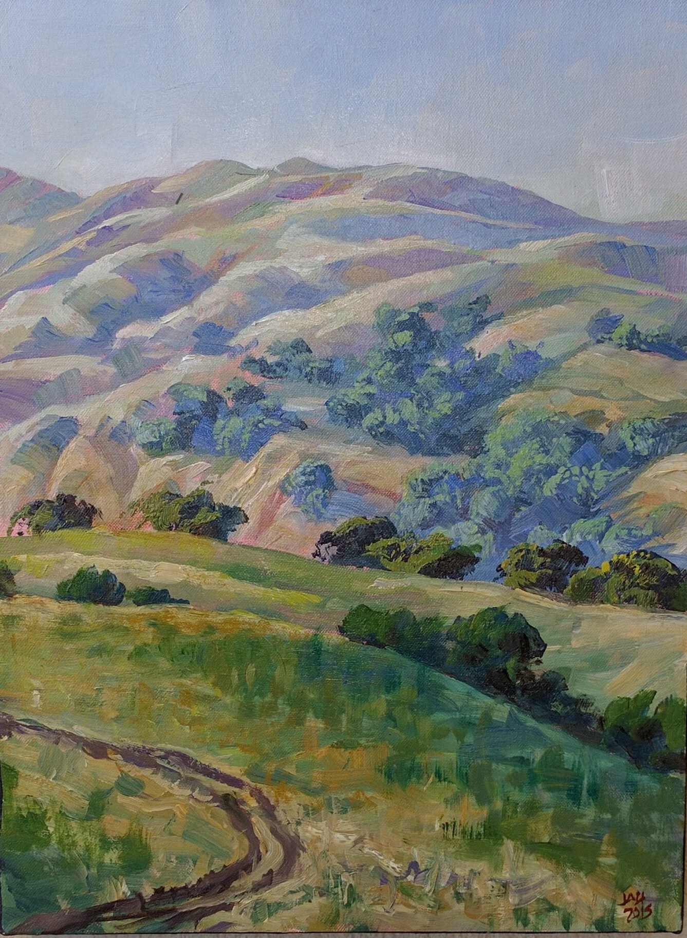 Dublin Hills Trail 12 x 16.jpg