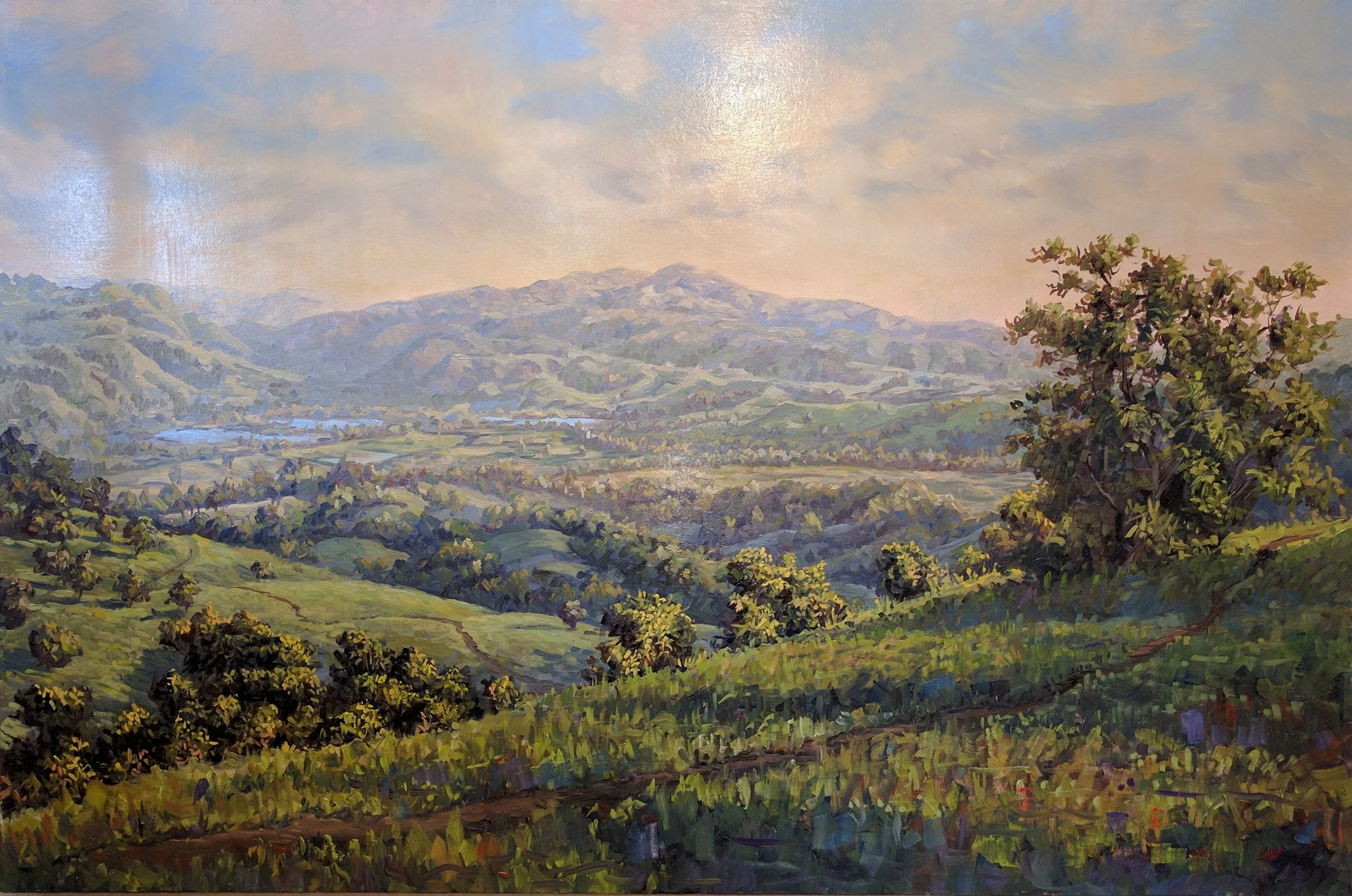 Sunol Valley 48 x 32.jpg