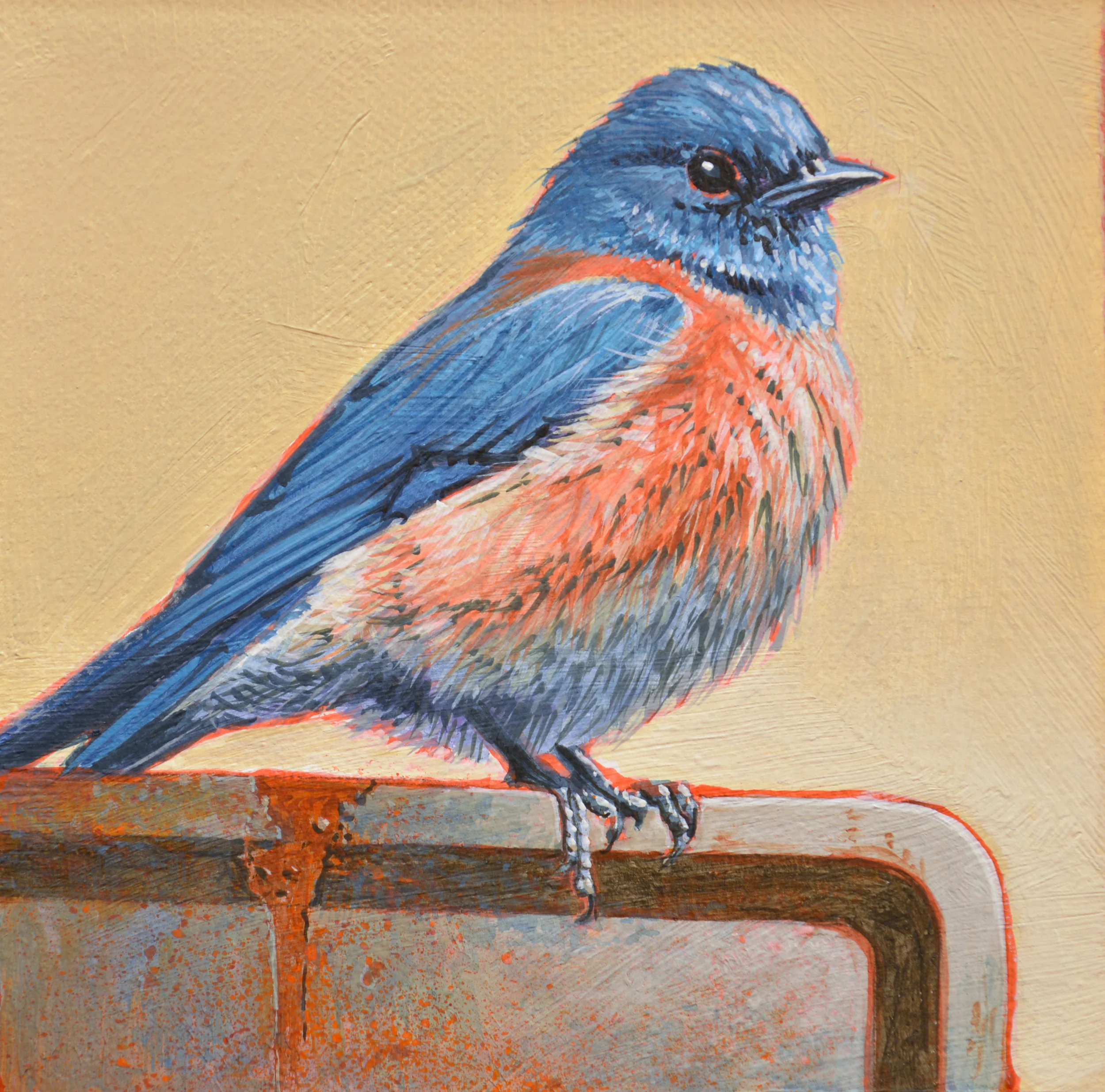 BlueBird4.16   6x6.JPG