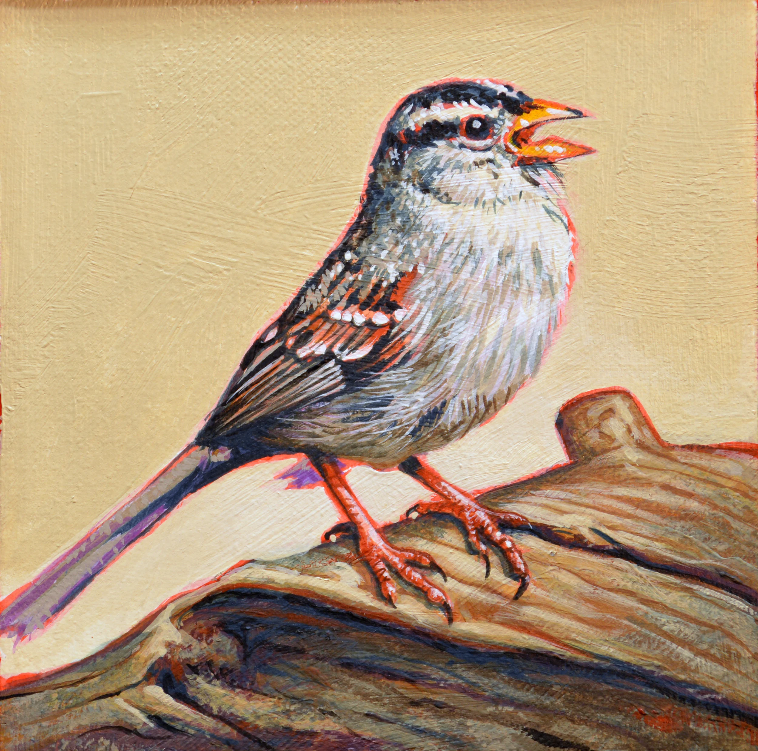 2Sparrow2.16   6x6.JPG