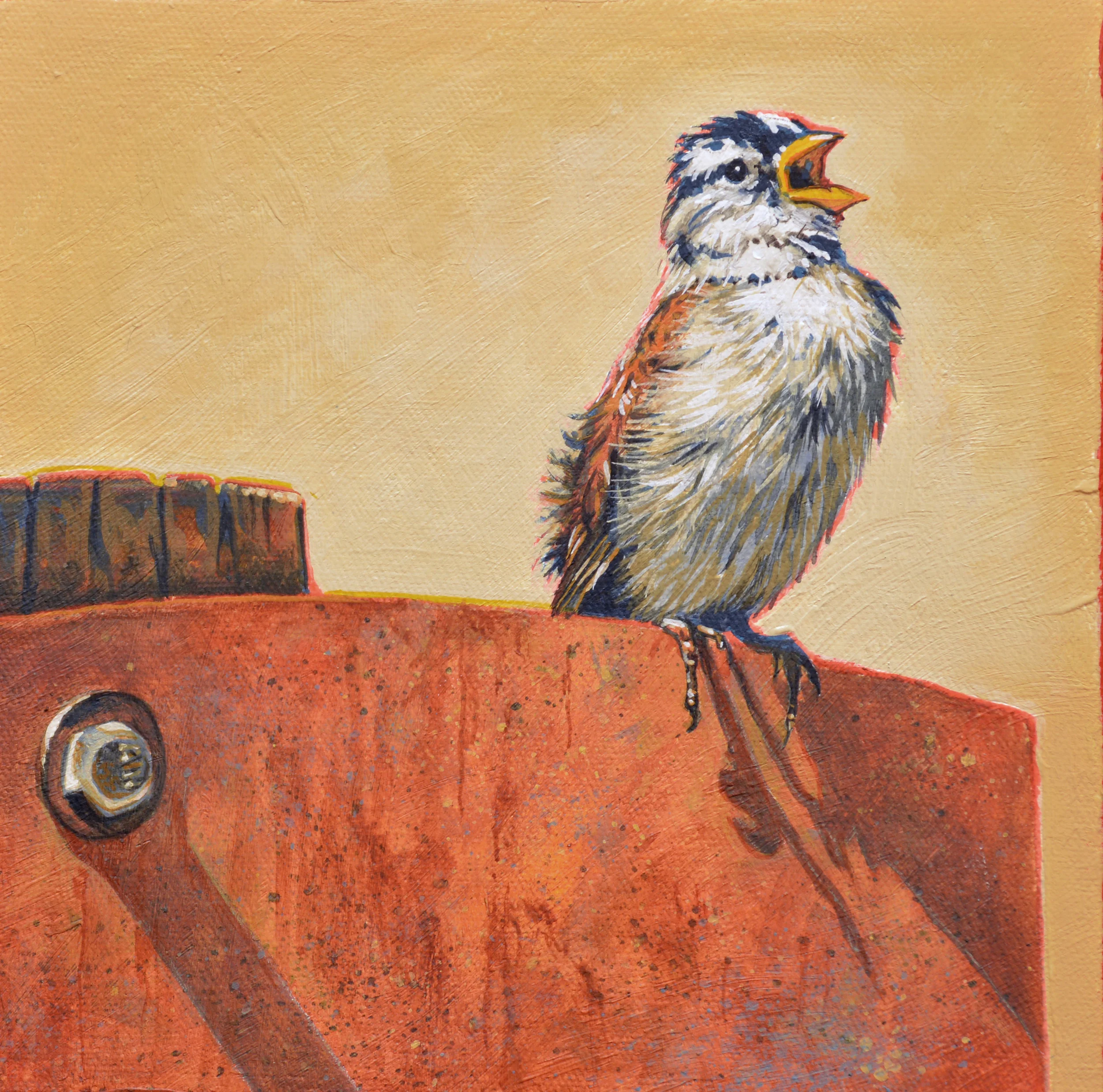 Sparrow3.16   8x8.JPG