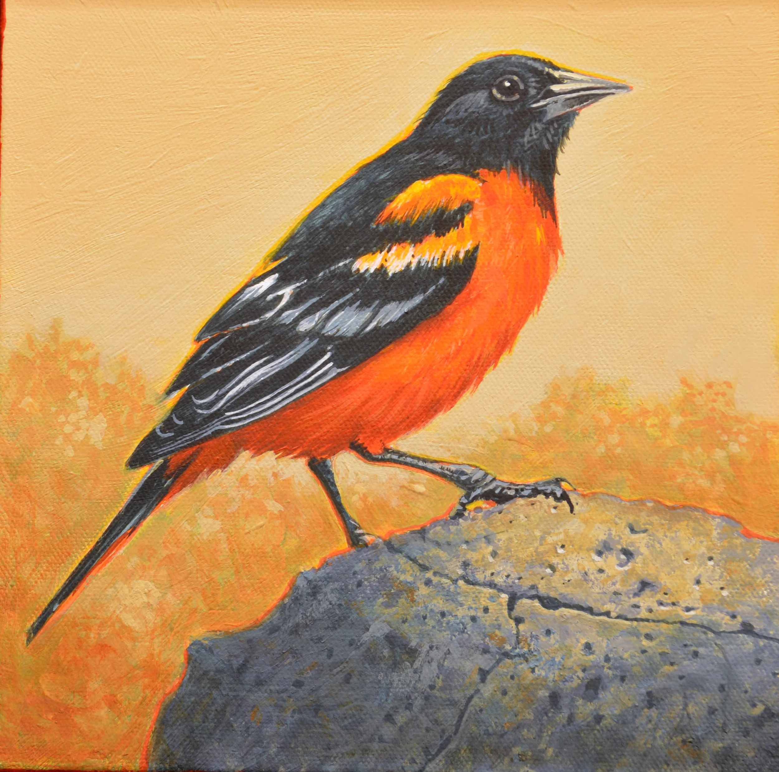 Oriole2.16   8x8.JPG