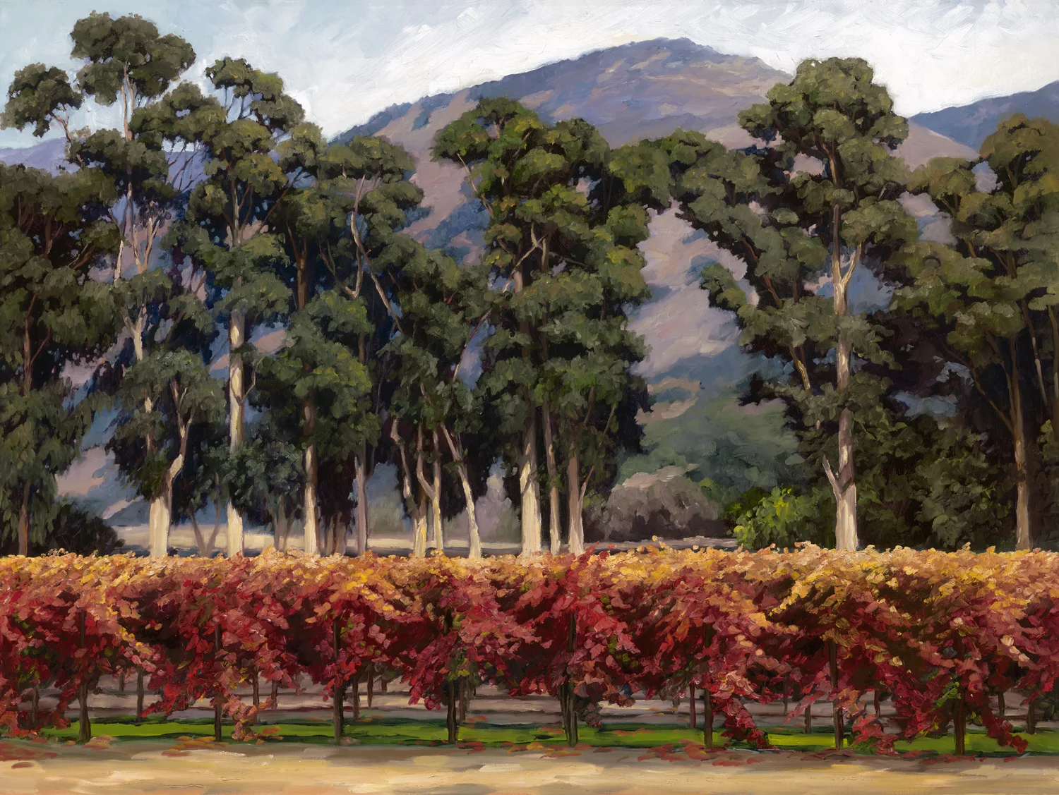 Eucalyptus Row.jpg