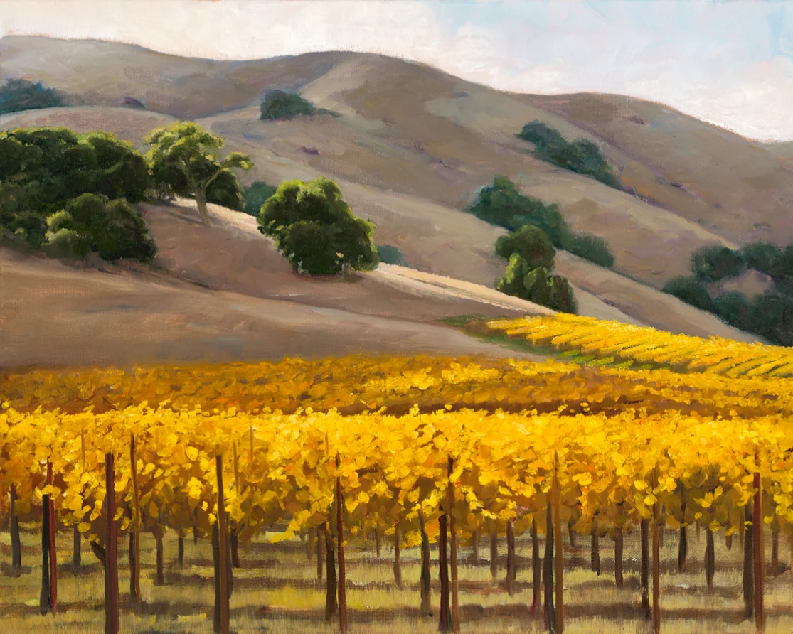 Golden Sonoma Vines.jpg